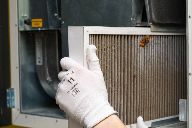 Best HVAC System Cleaning  in Union City, MI