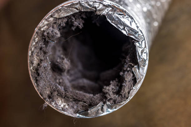 Best Affordable HVAC Duct Cleaning  in Union City, MI
